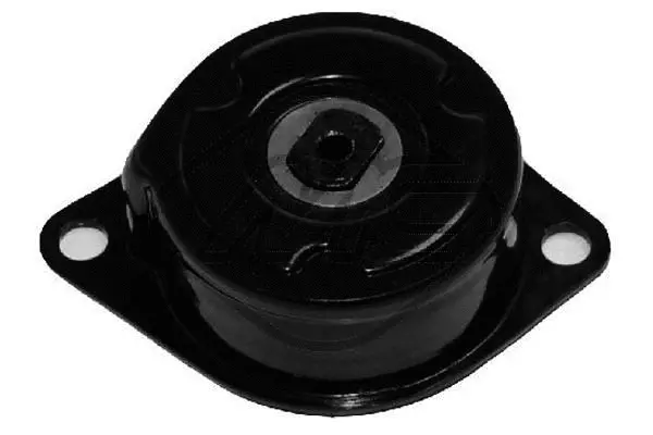 Belt Tensioner, V-ribbed belt (04908)