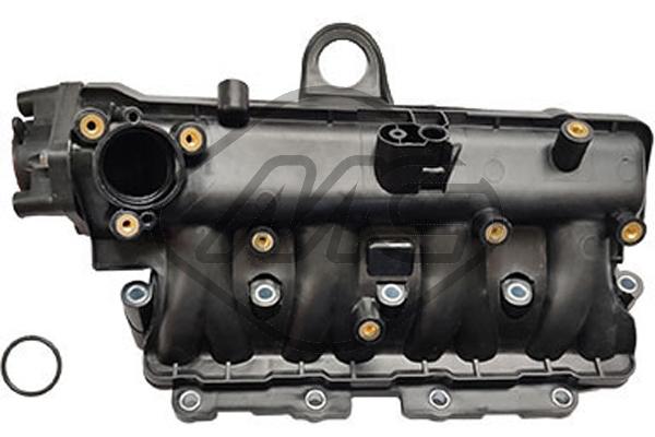 Intake Manifold Module (45256)
