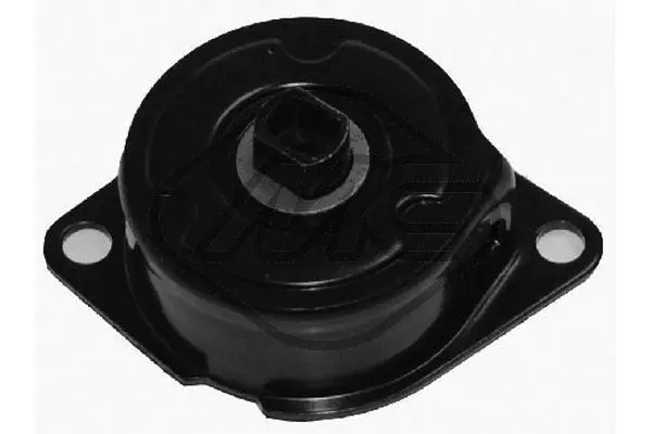 Belt Tensioner, V-ribbed belt (04923)