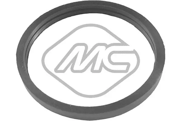 Seal, thermostat (02361)