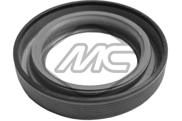 Shaft Seal, differential (32358)