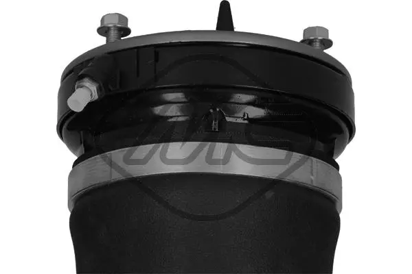 Air Suspension Strut