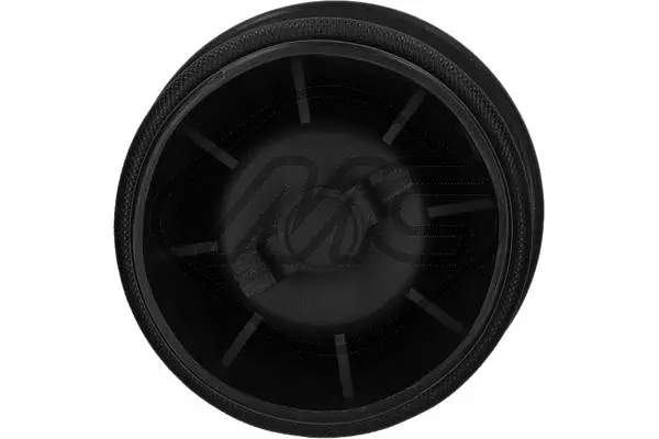 Air Spring, suspension