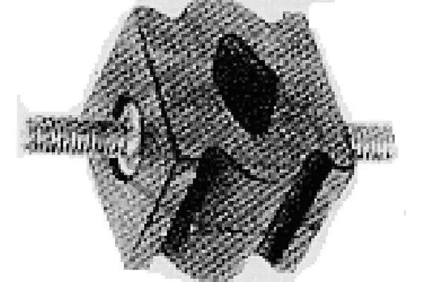 Mount, exhaust system (00205)