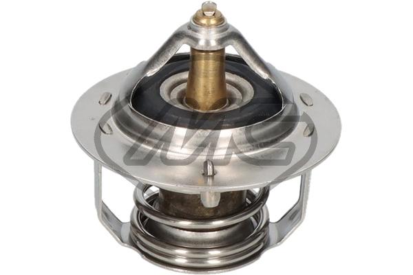Thermostat, coolant (31258)