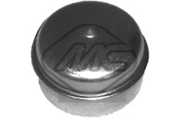 Protection Lid, wheel hub (43489)