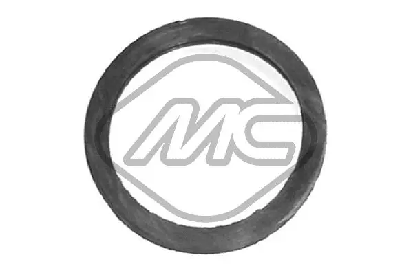 Seal, thermostat (02362)