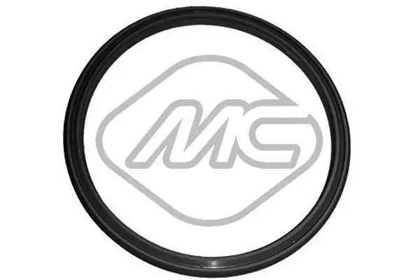 Seal Ring, charge air hose (39211)