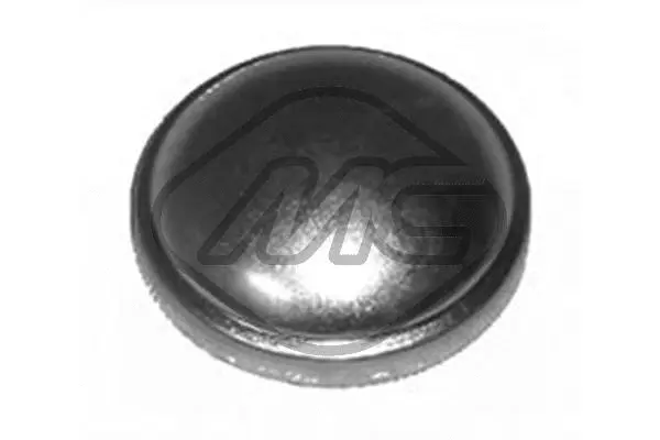 Protection Lid, wheel hub (41431)