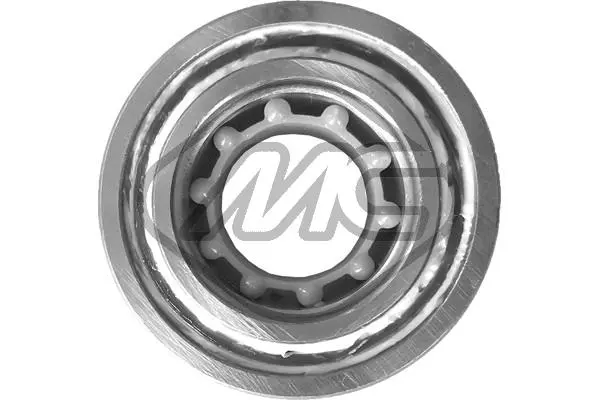 Wheel Bearing (74264)