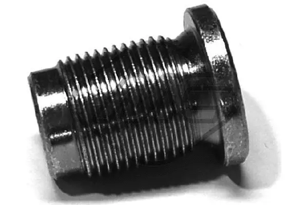 Screw Plug, oil sump (04126)