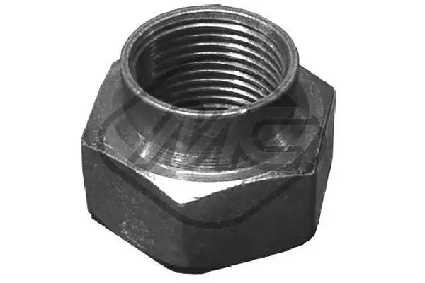 Nut, stub axle (02609)