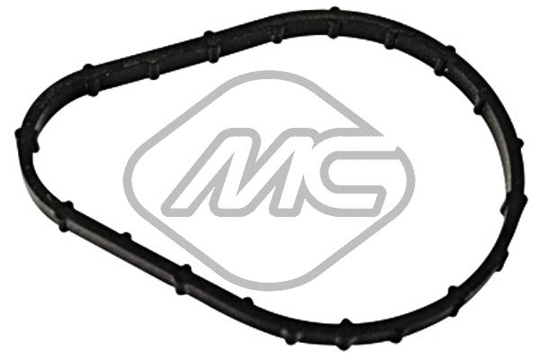 Seal, thermostat (42611)