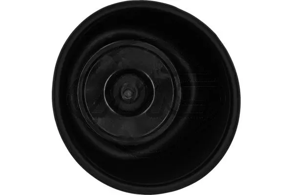 Air Spring, suspension
