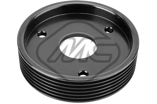 Belt Pulley, power steering pump (58498)