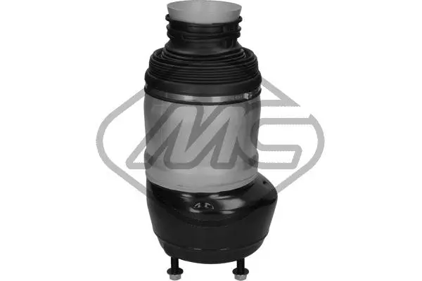 Air Spring, suspension (42943)