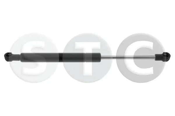 Gas Spring, boot/cargo area (T446564)