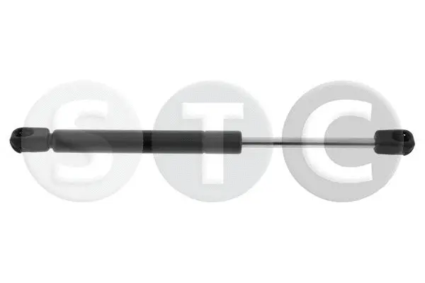 Gas Spring, boot/cargo area (T446740)
