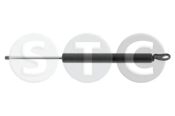 Gas Spring, rear window (T446805)