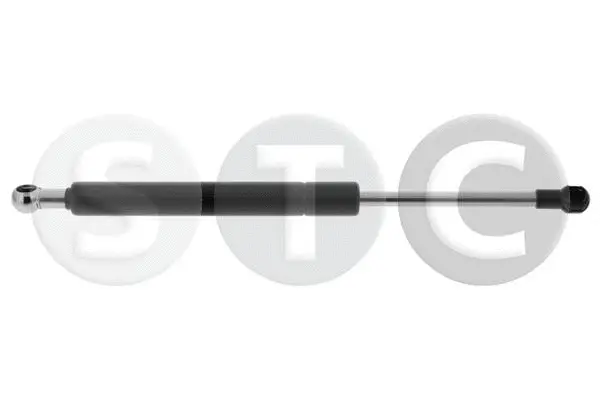 Gas Spring, boot/cargo area (T446641)