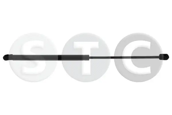 Gas Spring, boot/cargo area (T446134)