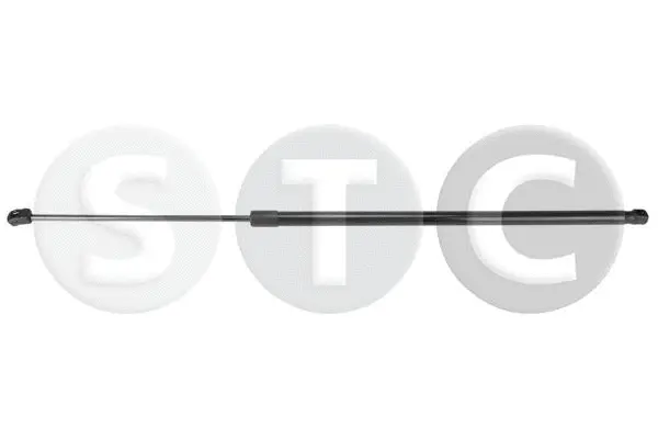 Gas Spring, bonnet (T446567)