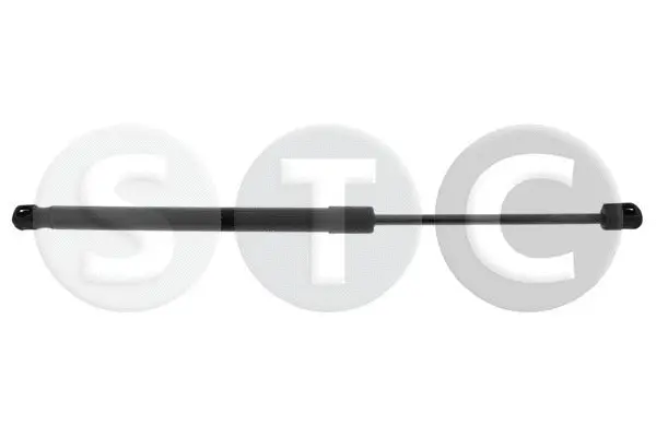 Gas Spring, boot/cargo area (T446238)