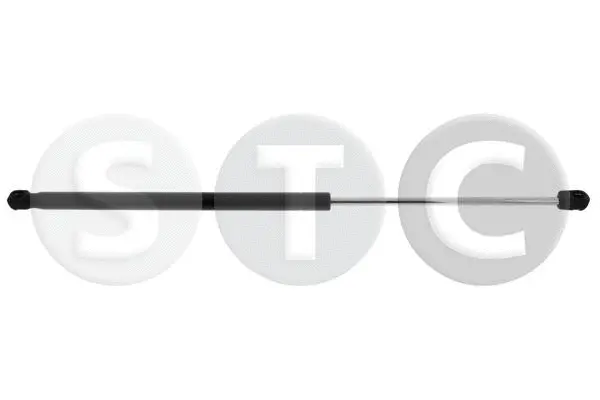 Gas Spring, boot/cargo area (T446563)