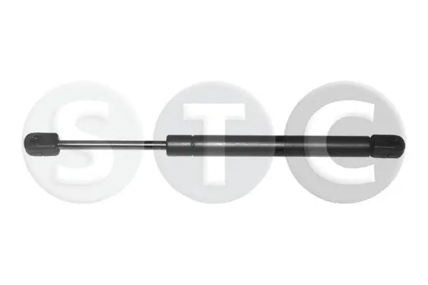 Gas Spring, boot/cargo area (T446525)