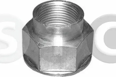 Nut, stub axle (T443463)