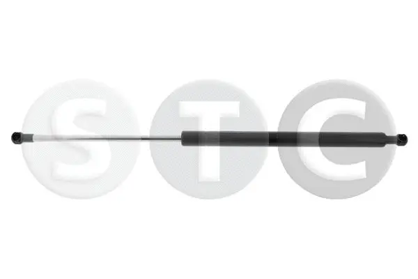 Gas Spring, boot/cargo area (T446149)