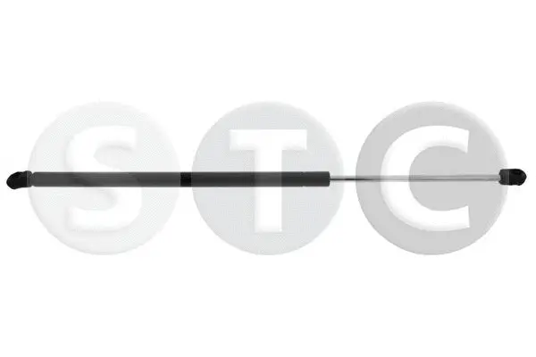 Gas Spring, boot/cargo area (T446362)