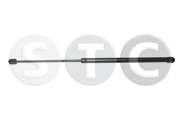 Gas Spring, boot/cargo area (T446738)
