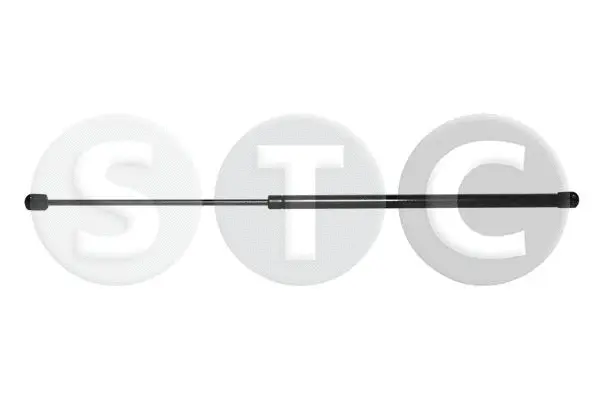 Gas Spring, boot/cargo area (T446152)