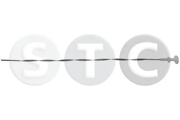 Oil Dipstick (T404612)