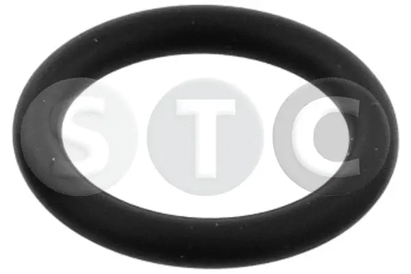 Gasket, coolant pipe (T402110)
