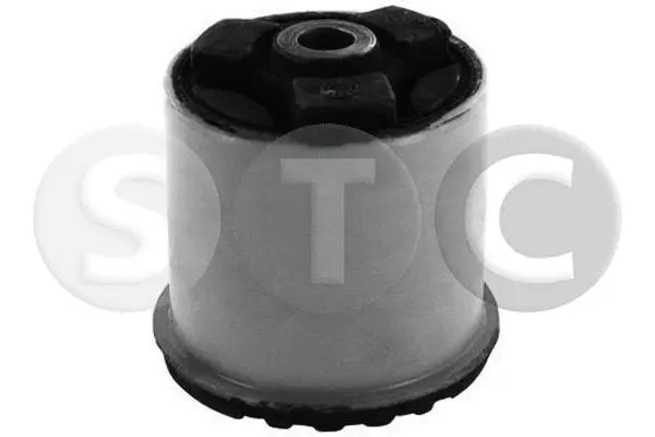 Bushing, axle beam (T406005)