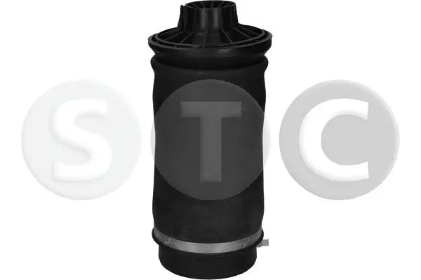 Air Spring, suspension