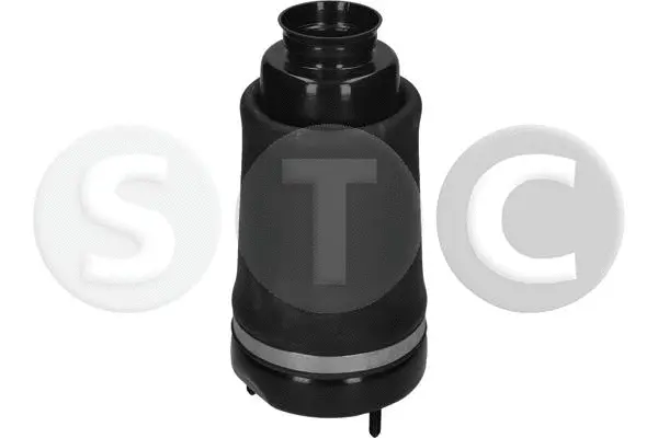 Air Spring, suspension
