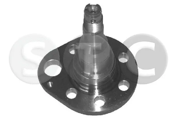 Wheel Hub (T490540)