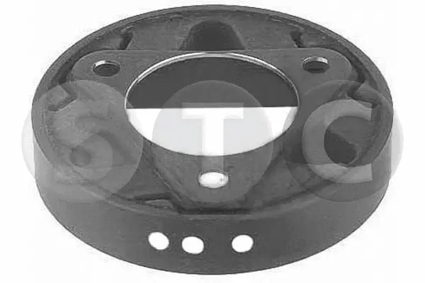 Vibration Damper, propshaft (T402481)