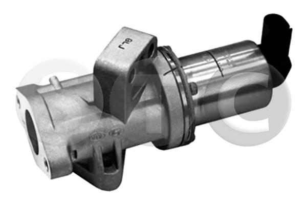 EGR Valve (T493173)