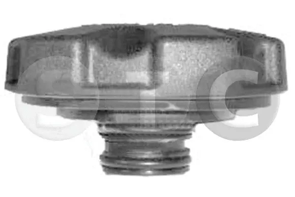 Cap, coolant tank (T403913)