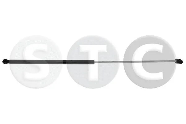 Gas Spring, bonnet (T446310)