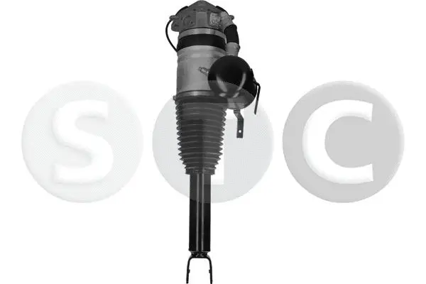 Air Suspension Strut (T442914)