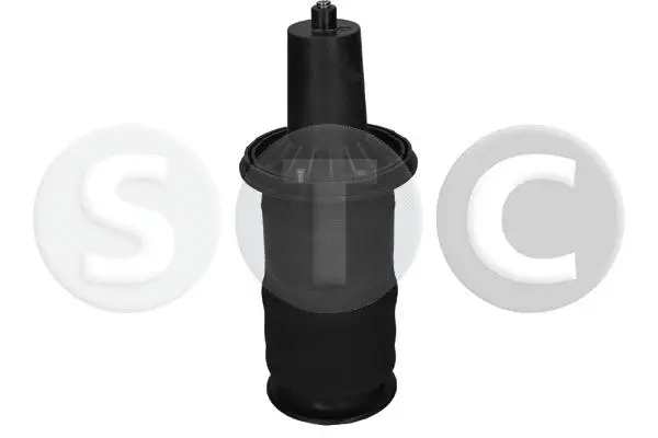 Air Spring, suspension