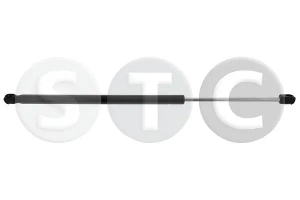 Gas Spring, boot/cargo area (T446643)