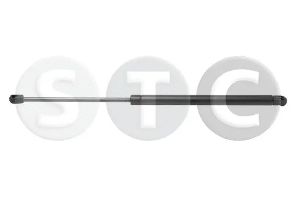Gas Spring, boot/cargo area (T446187)