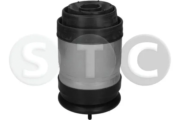 Air Spring, suspension
