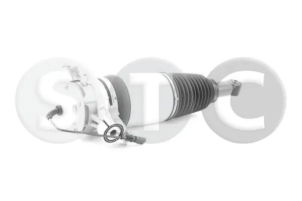 Air Suspension Strut (T442927)
